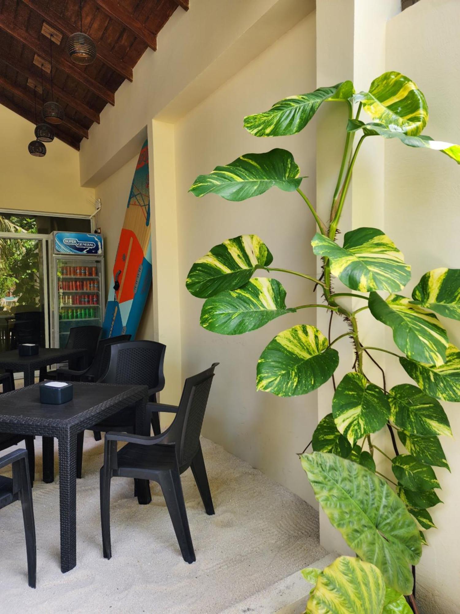 Hotel Dhigurah Dhonveli Boutique Exterior foto